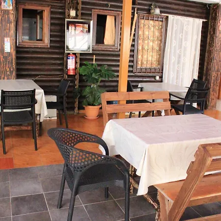 Apartment Drurit Arber Dauti