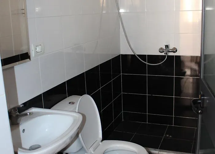 Drurit Arber Dauti Daire