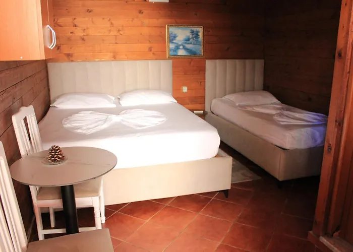 Daire Drurit Arber Dauti Dıraç