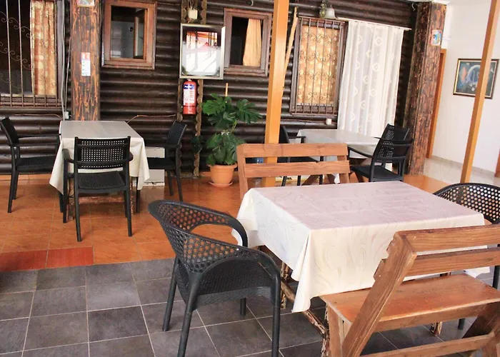 Drurit Arber Dauti Daire