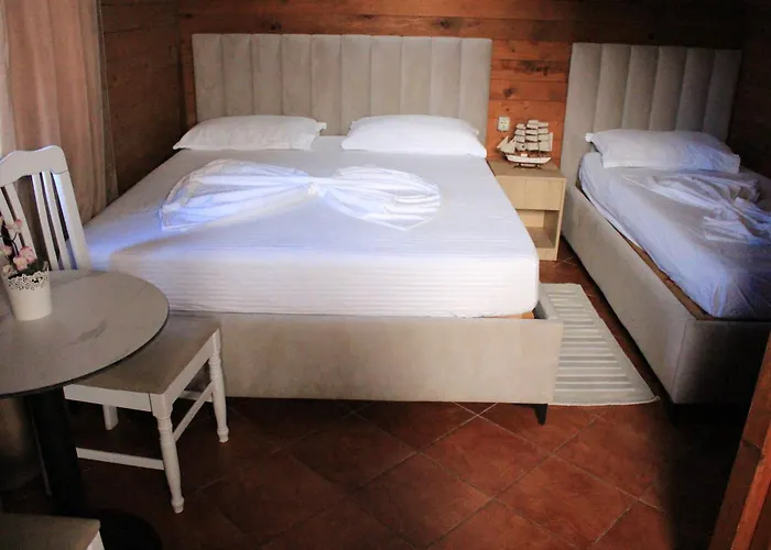 Daire Drurit Arber Dauti Dıraç